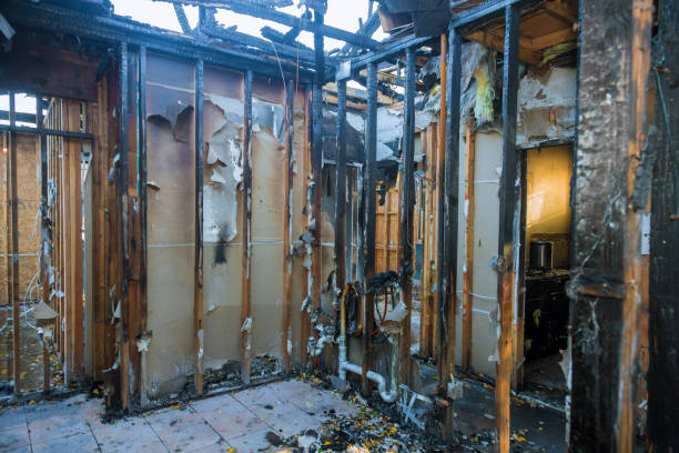 Professional Fire Damage Removal technician working in Homewood, IL